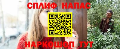 гидра Рязань