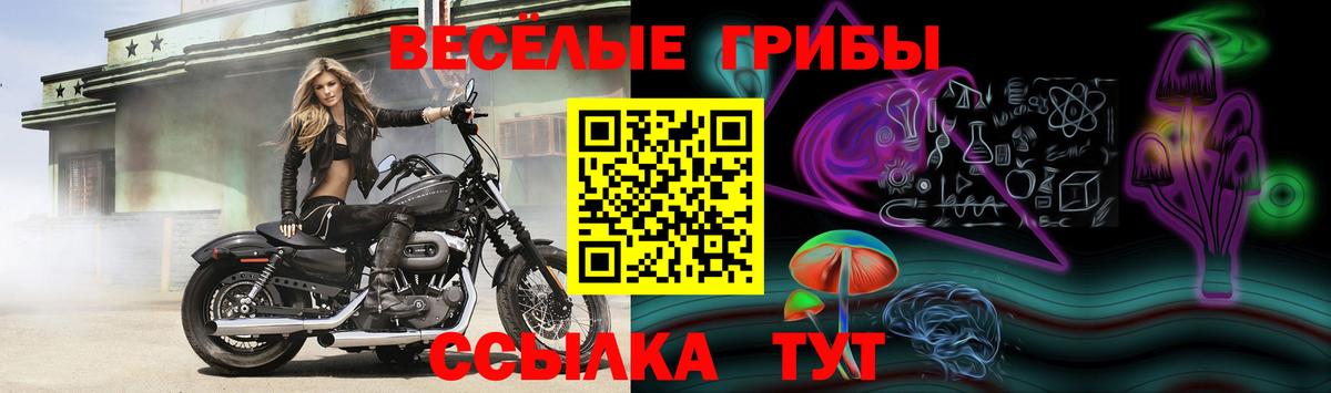 Саров  Галлюциногенные грибы GOLDEN TEACHER  Вход с VPN 